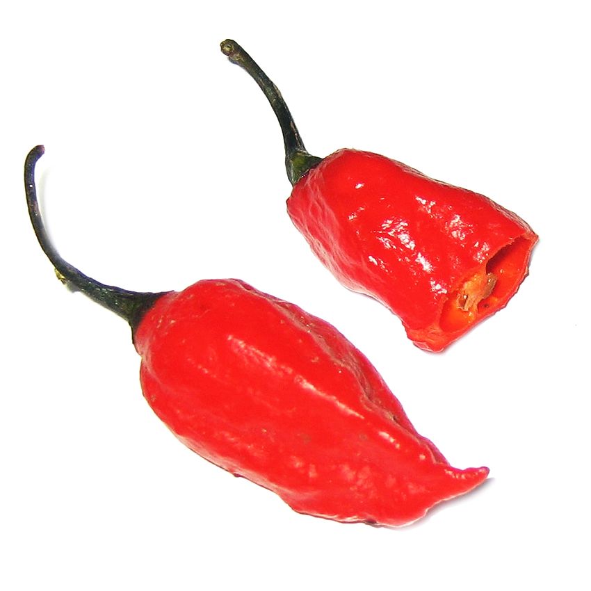 Chili jolokia czerwona - Zioła cięte, warzywa, grzyby, owoce egzotyczne i przyprawy Freshmint Łódź